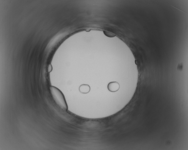 X0000115730294200912241632