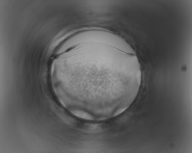 X0000115730295200912241632