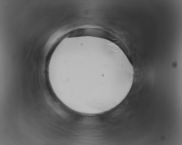 X0000115730296200912241632