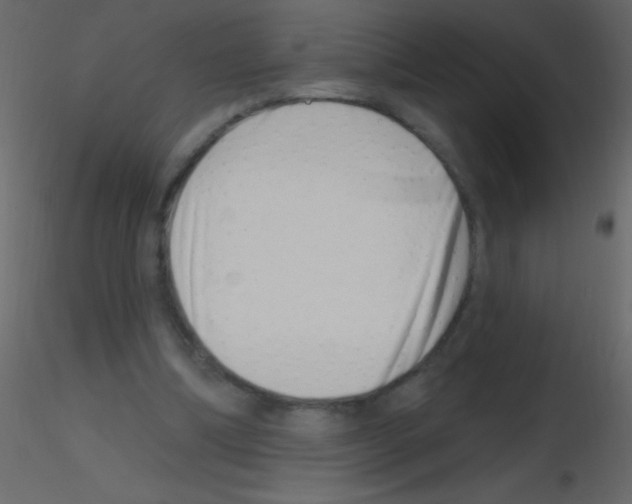 X0000115730298200912241632