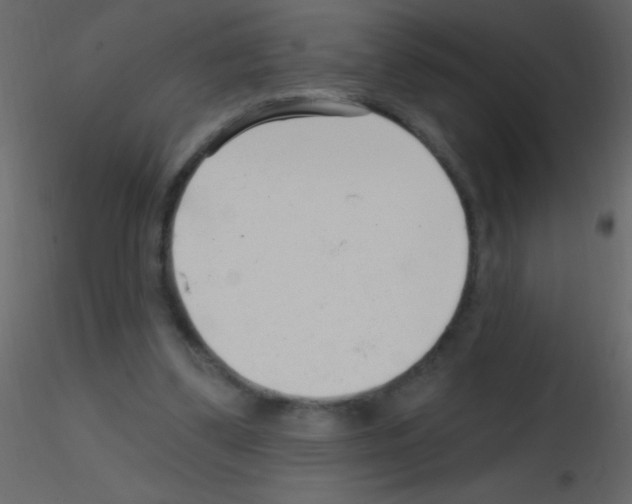 X0000115730299200912241632