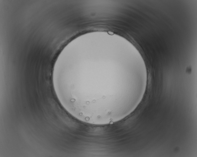 X0000115730301200912241632