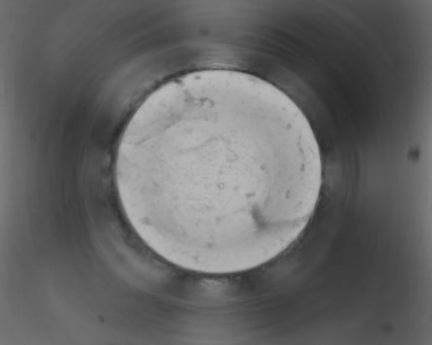 X0000115730302200912241632