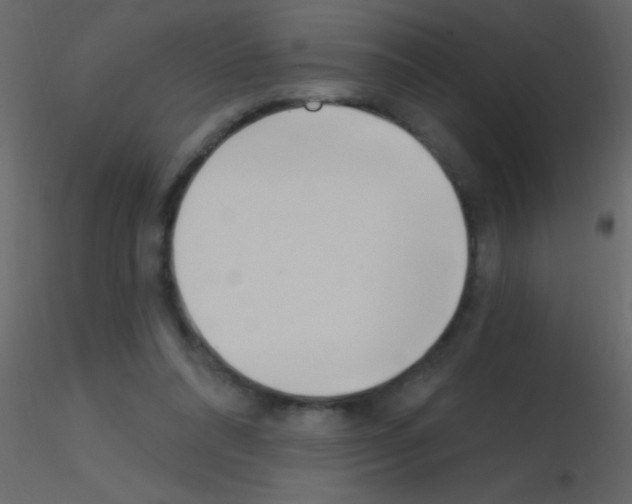 X0000115730304200912241632