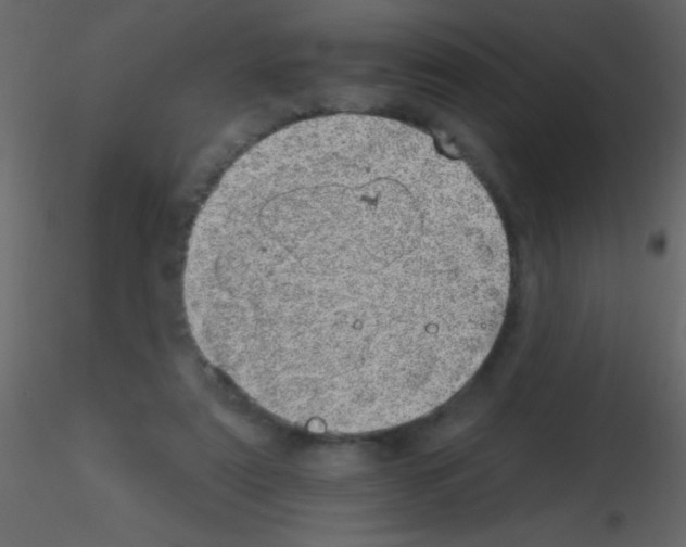 X0000115730307200912241632