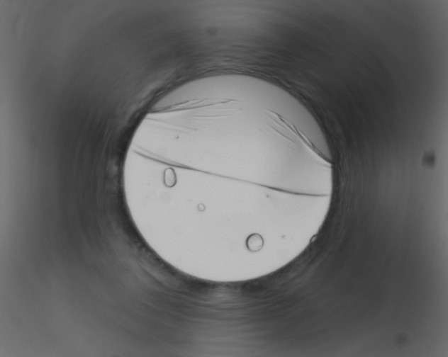 X0000115730308200912241632