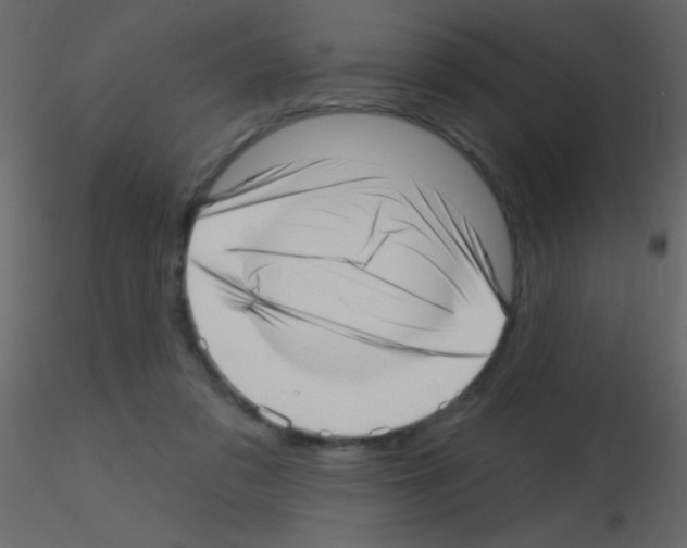 X0000115730309200912241632