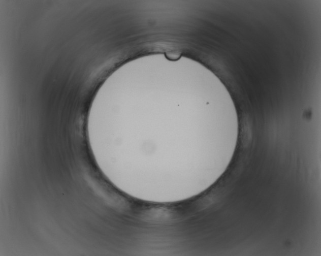 X0000115730310200912241632