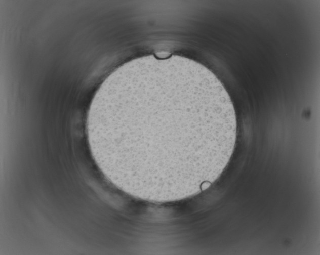 X0000115730311200912241632