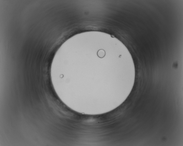 X0000115730312200912241632