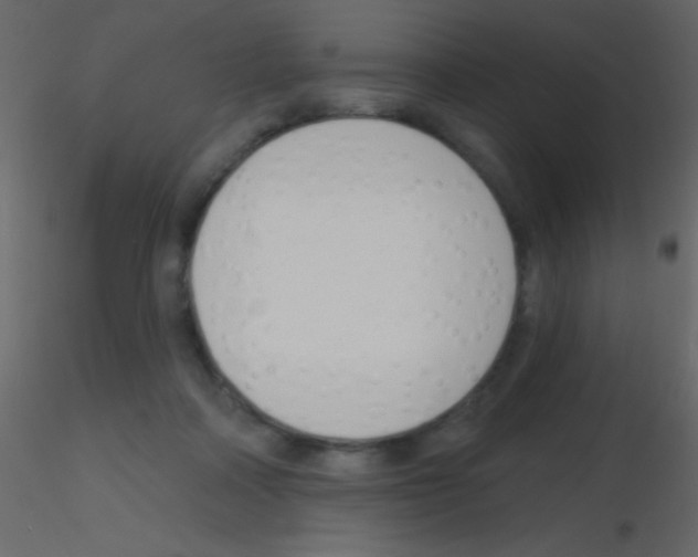 X0000115730314200912241632