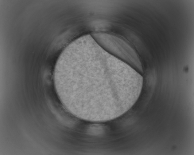 X0000115730316200912241632