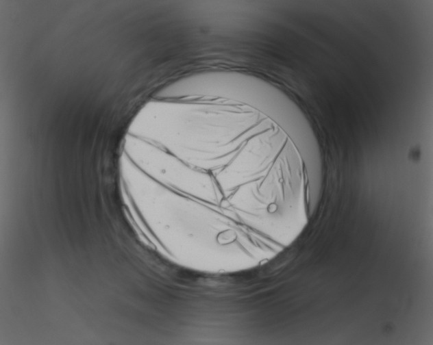 X0000115730317200912241632