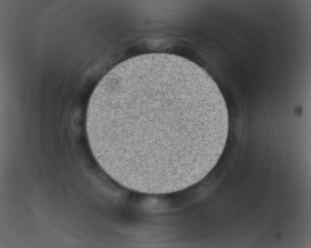 X0000115730319200912241631