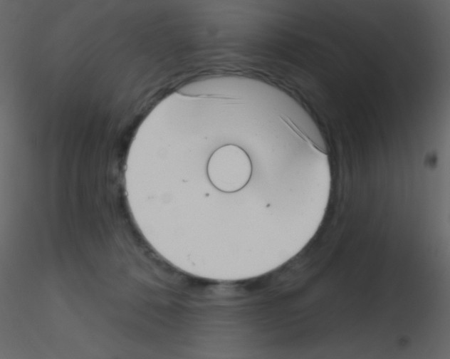 X0000115730320200912241631