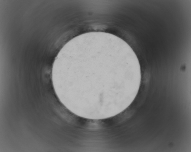 X0000115730321200912241631