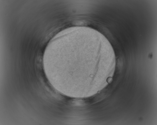 X0000115730322200912241631