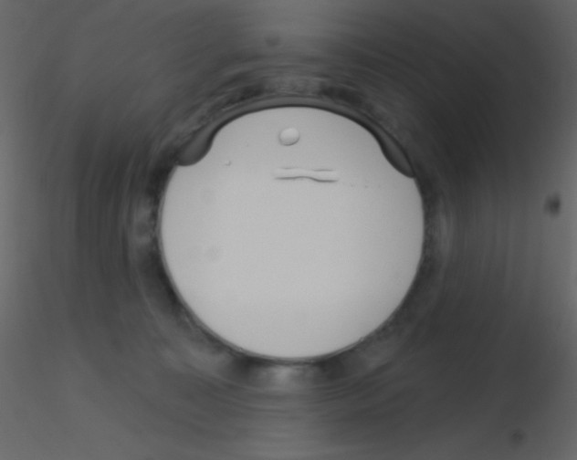 X0000115730323200912241631