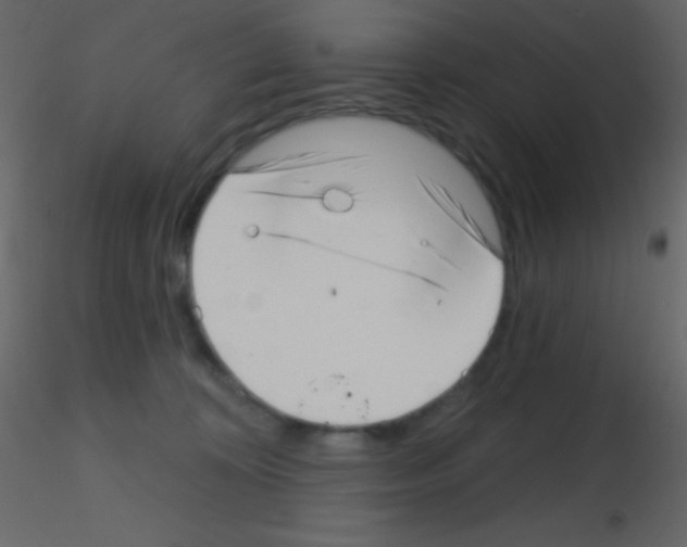 X0000115730324200912241631