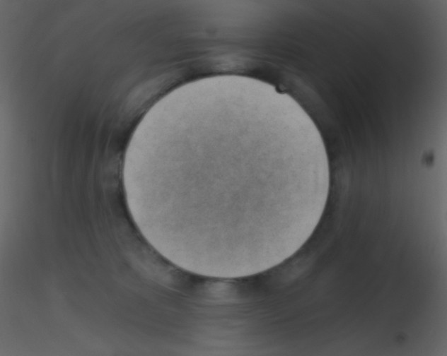 X0000115730325200912241631