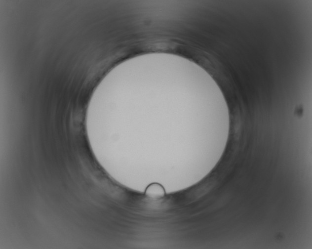 X0000115730326200912241631