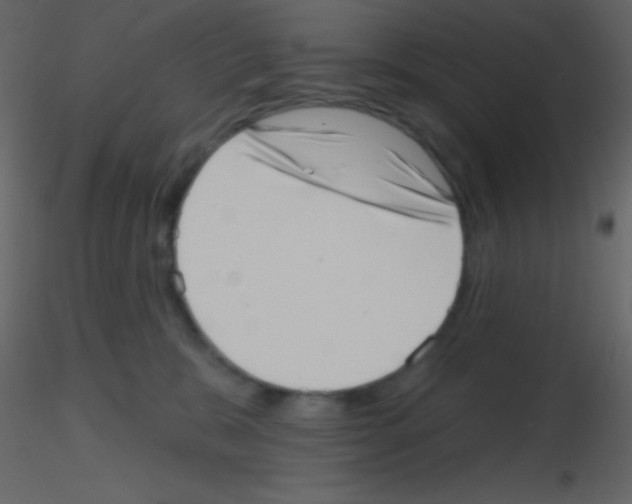 X0000115730327200912241631