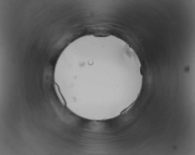 X0000115730328200912241631