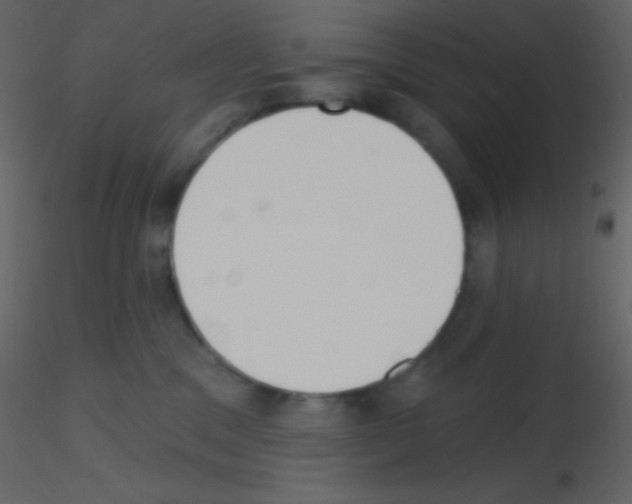 X0000115730329200912241631