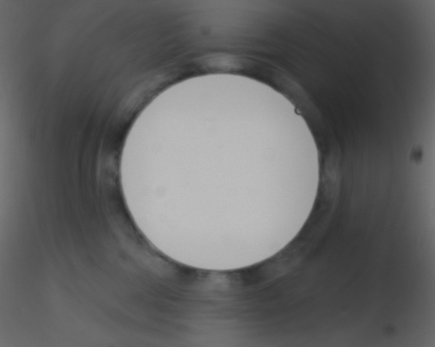 X0000115730330200912241631