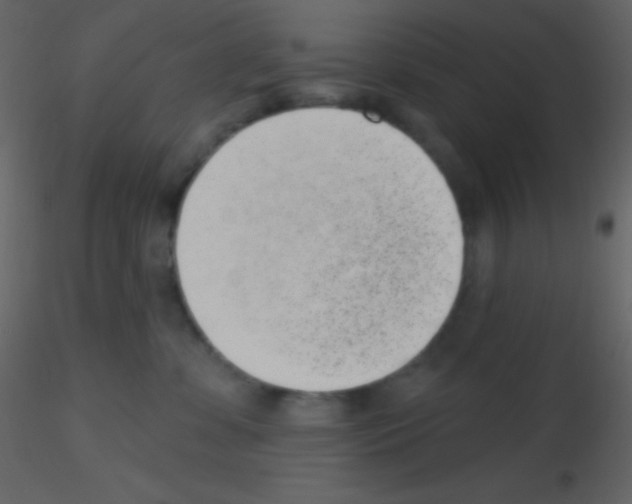 X0000115730331200912241631