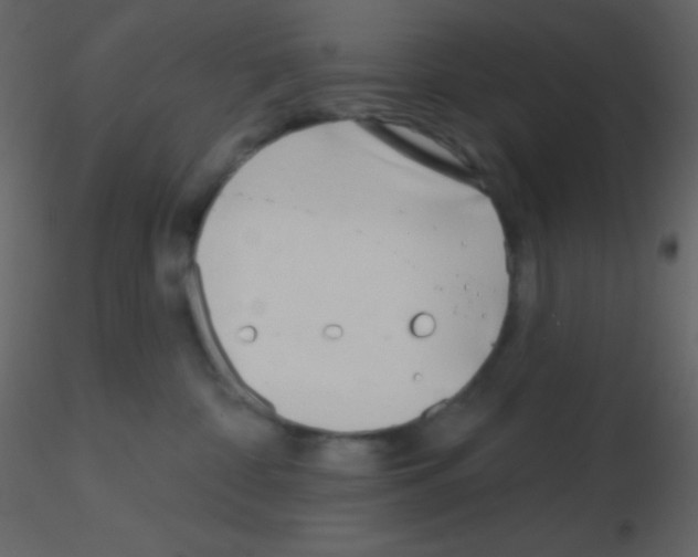 X0000115730332200912241631