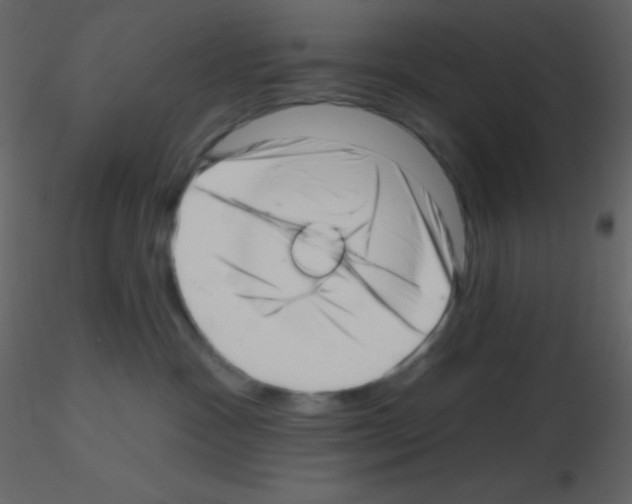 X0000115730333200912241631