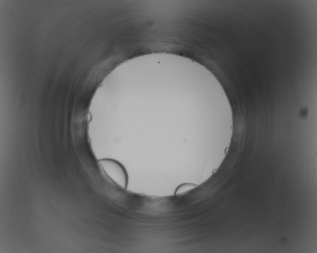 X0000115730334200912241631
