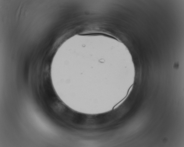 X0000115730335200912241631