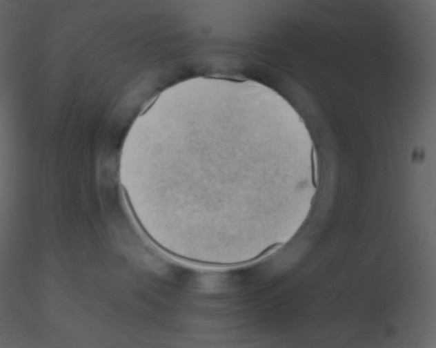 X0000115730336200912241631