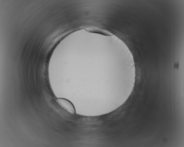 X0000115730338200912241631