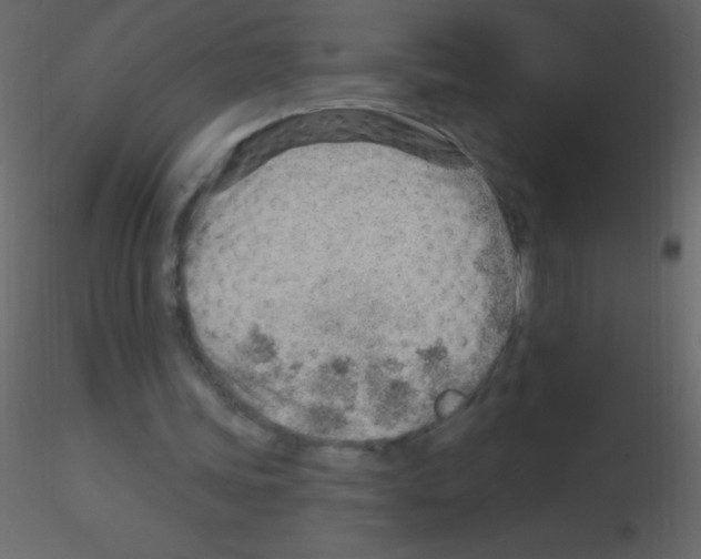 X0000115730339200912241631