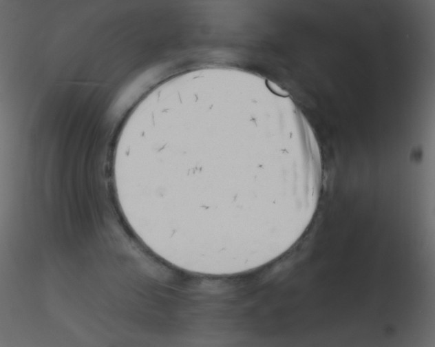 X0000115730341200912241631