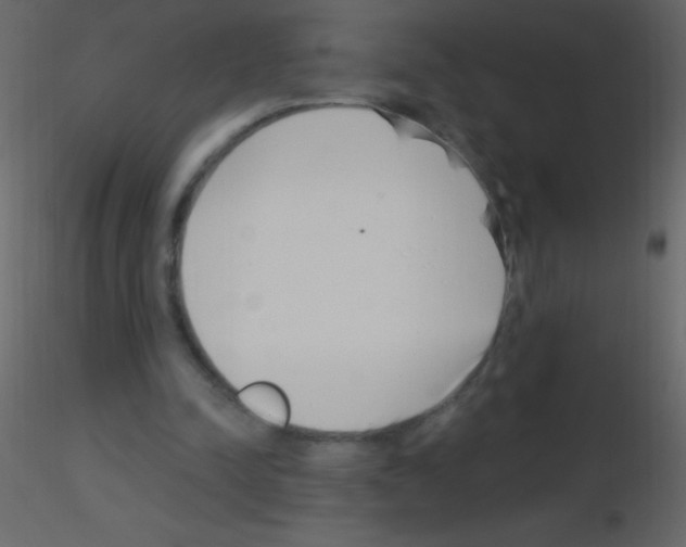 X0000115730342200912241631