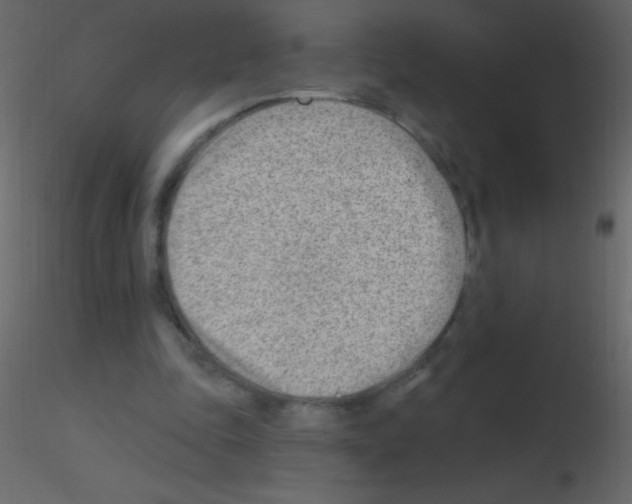X0000115730343200912241631
