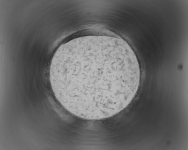X0000115730345200912241631