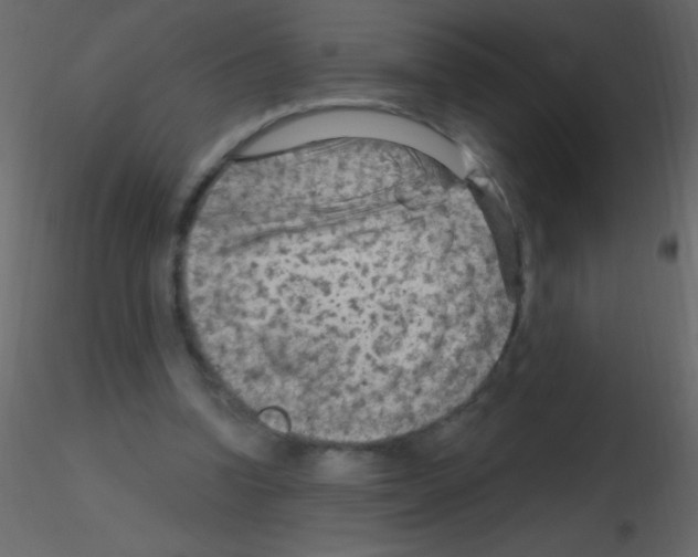 X0000115730346200912241631