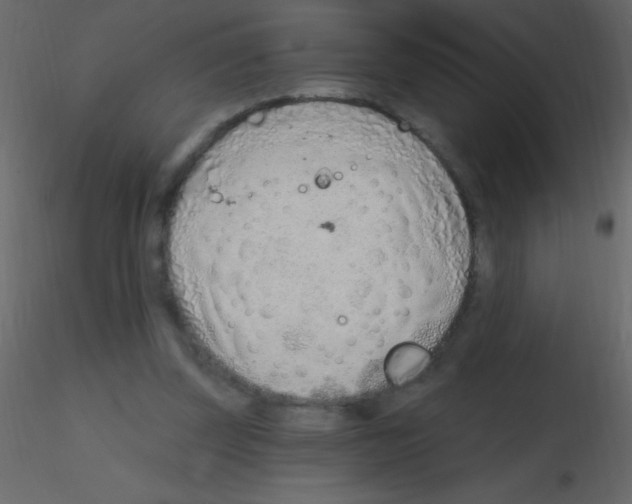 X0000115730347200912241631