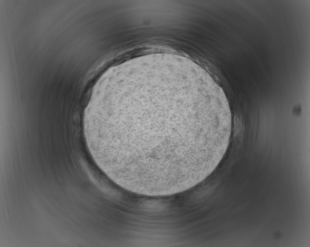 X0000115730349200912241631