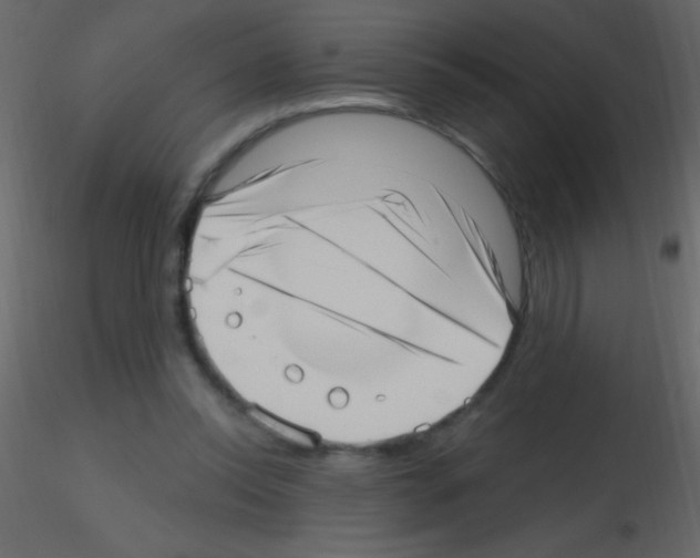 X0000115730350200912241631