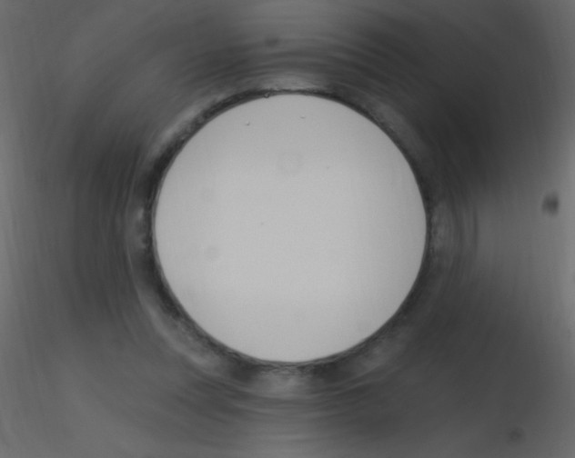 X0000115730351200912241631
