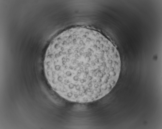 X0000115730354200912241631