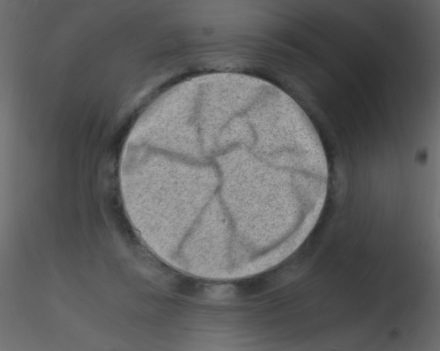 X0000115730355200912241631