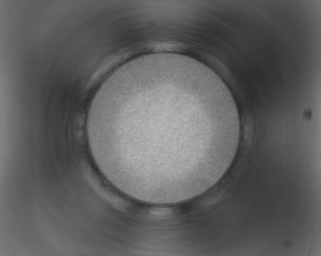 X0000115730357200912241631