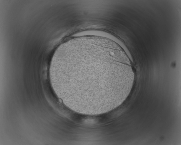 X0000115730358200912241631